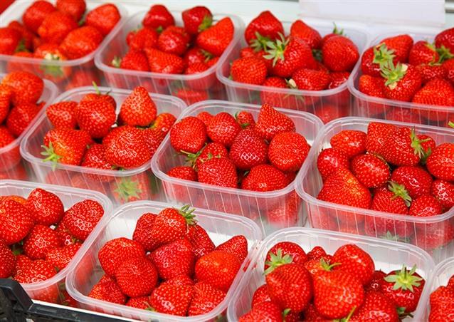 principale - Confezionatrice ortofrutta qual è il modello più conveniente